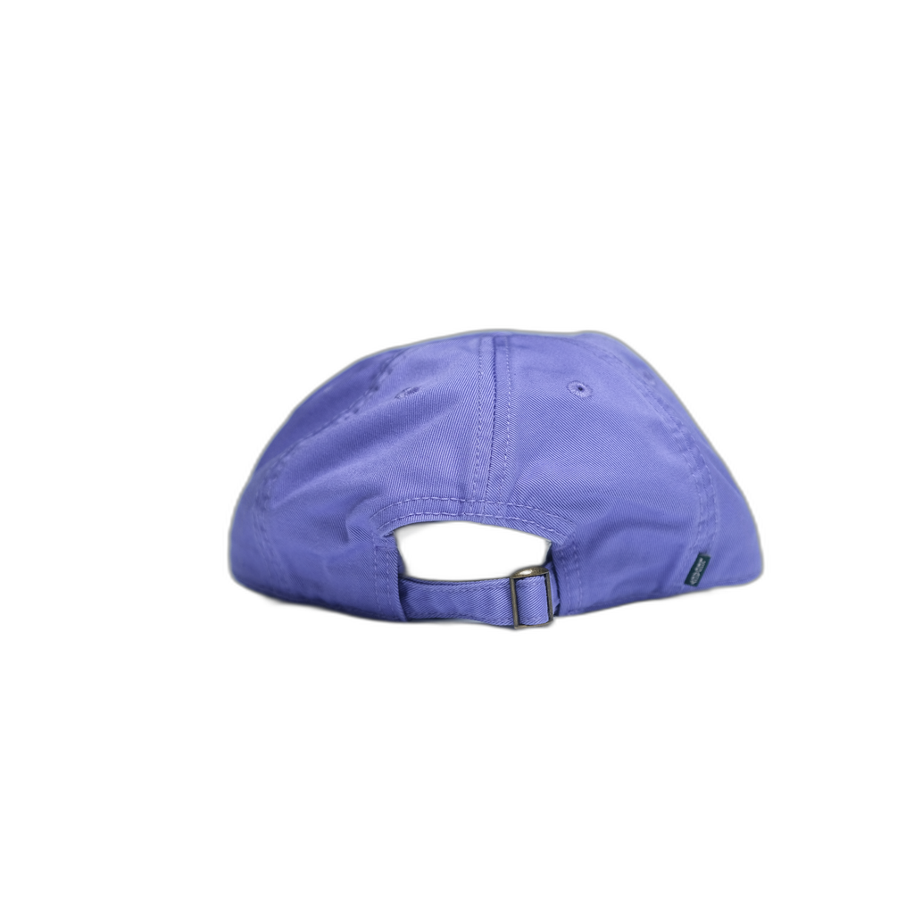 Cary Academy Logo Hat