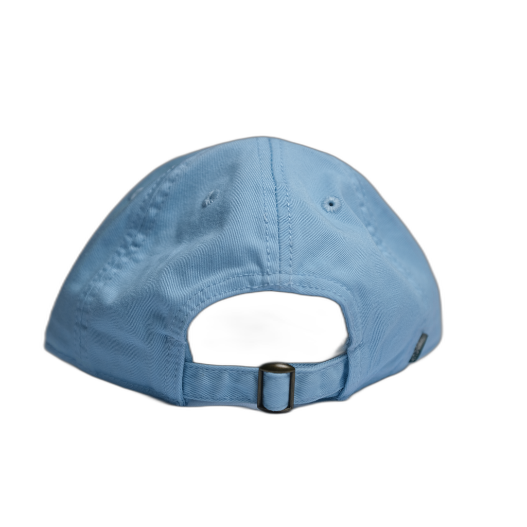 Cary Academy Floating Letters Hat